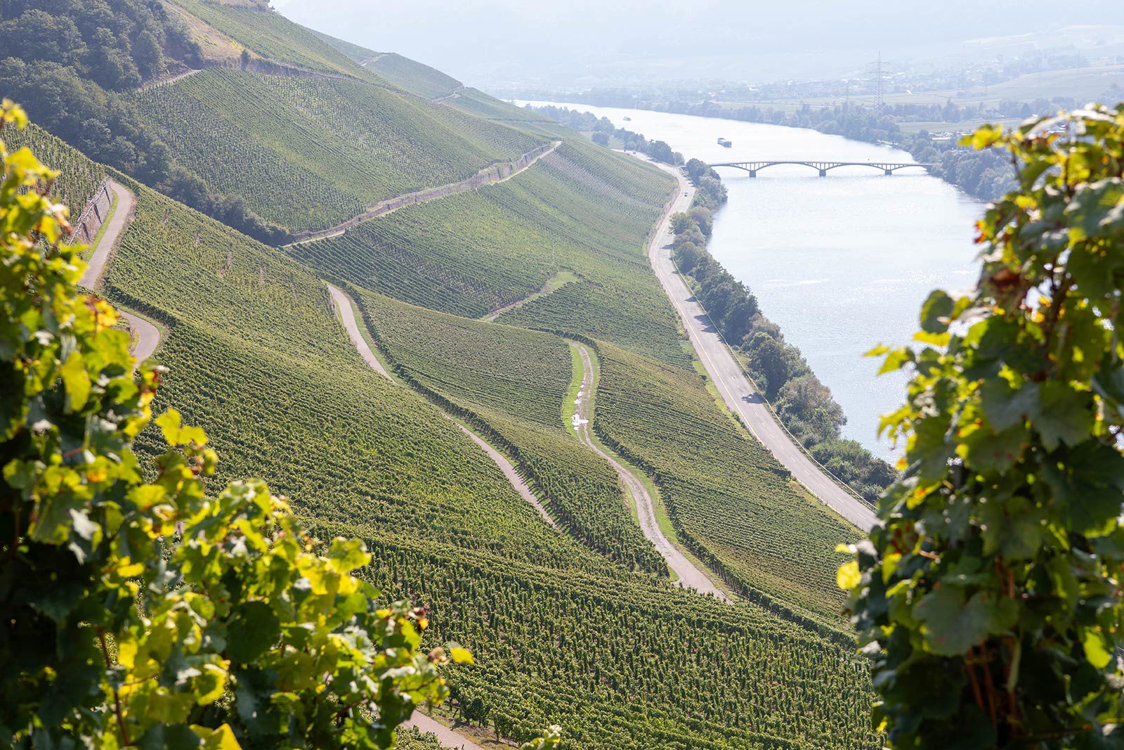 Weingut Bernhard Eifel Cristoph Cluesserath Impressionen Weingut 07
